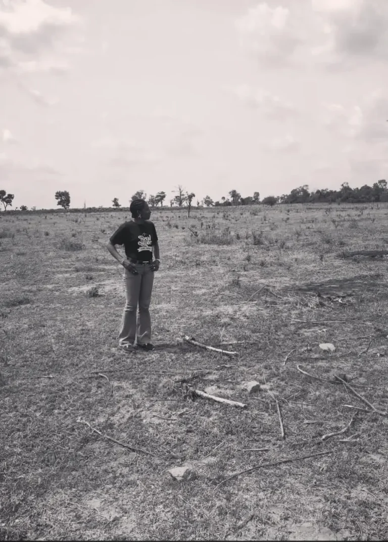 Ozera Properties - Grayscale of Oil Palm Estate (Palmcity) Agunrege, Iseyin - Sarki, Oyo State