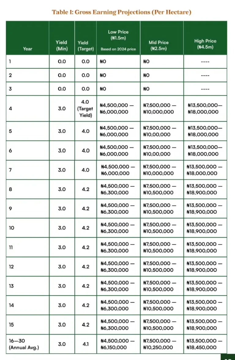 Ozera Properties - Oil Palm Estate Hectare Income Projections