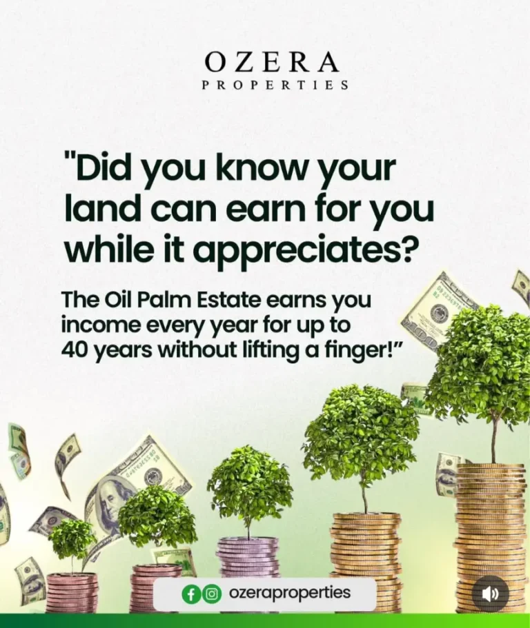 Ozera Properties - Oil Palm Estate Income Timeline Visual
