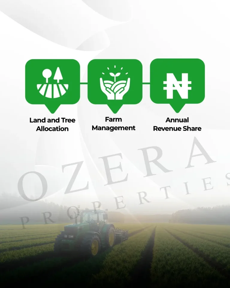 Ozera Properties - Oil Palm Estate Land - Farm Management - Annual Revenue Share